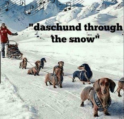 daschund through the snow.jpg